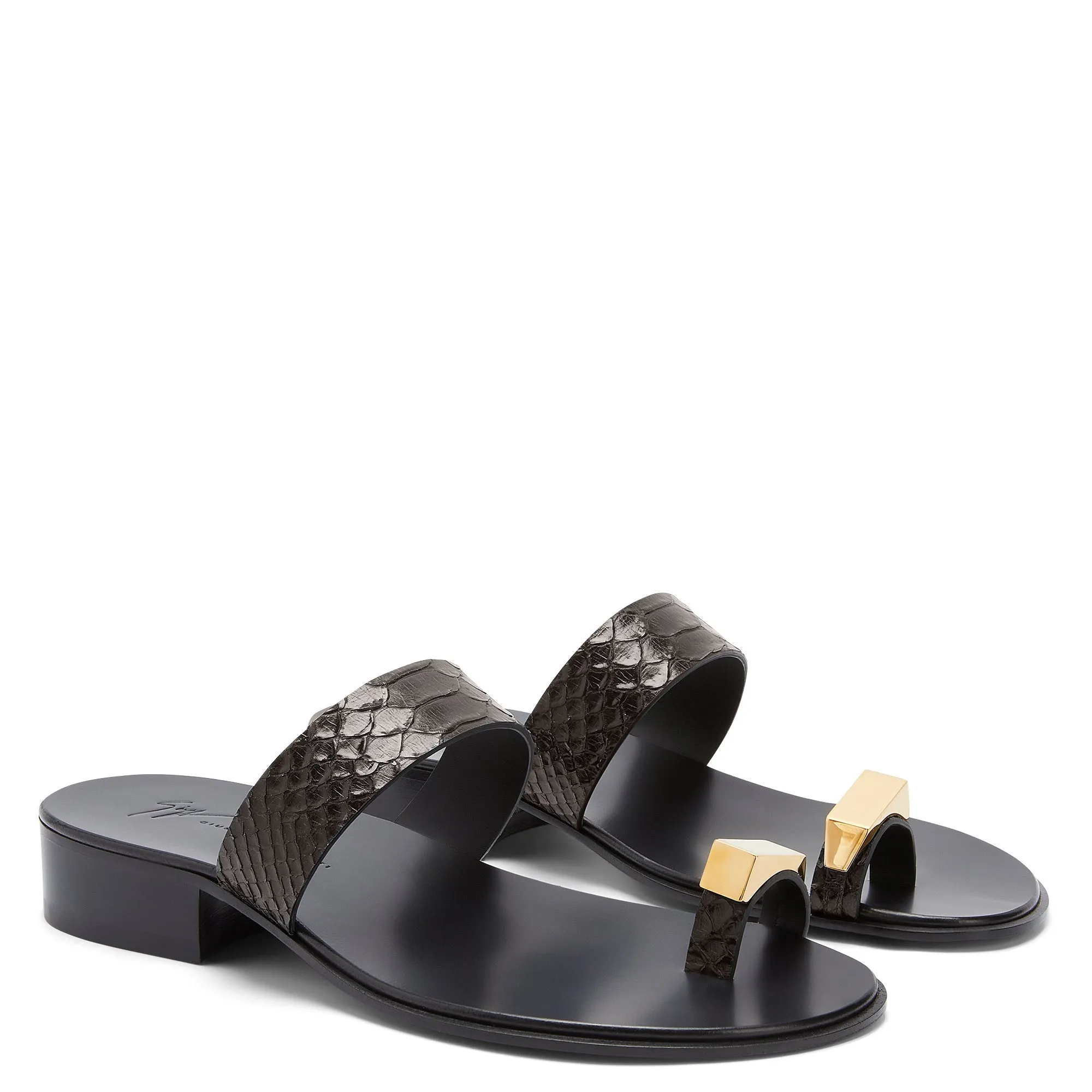 Giuseppe Zanotti Bardack