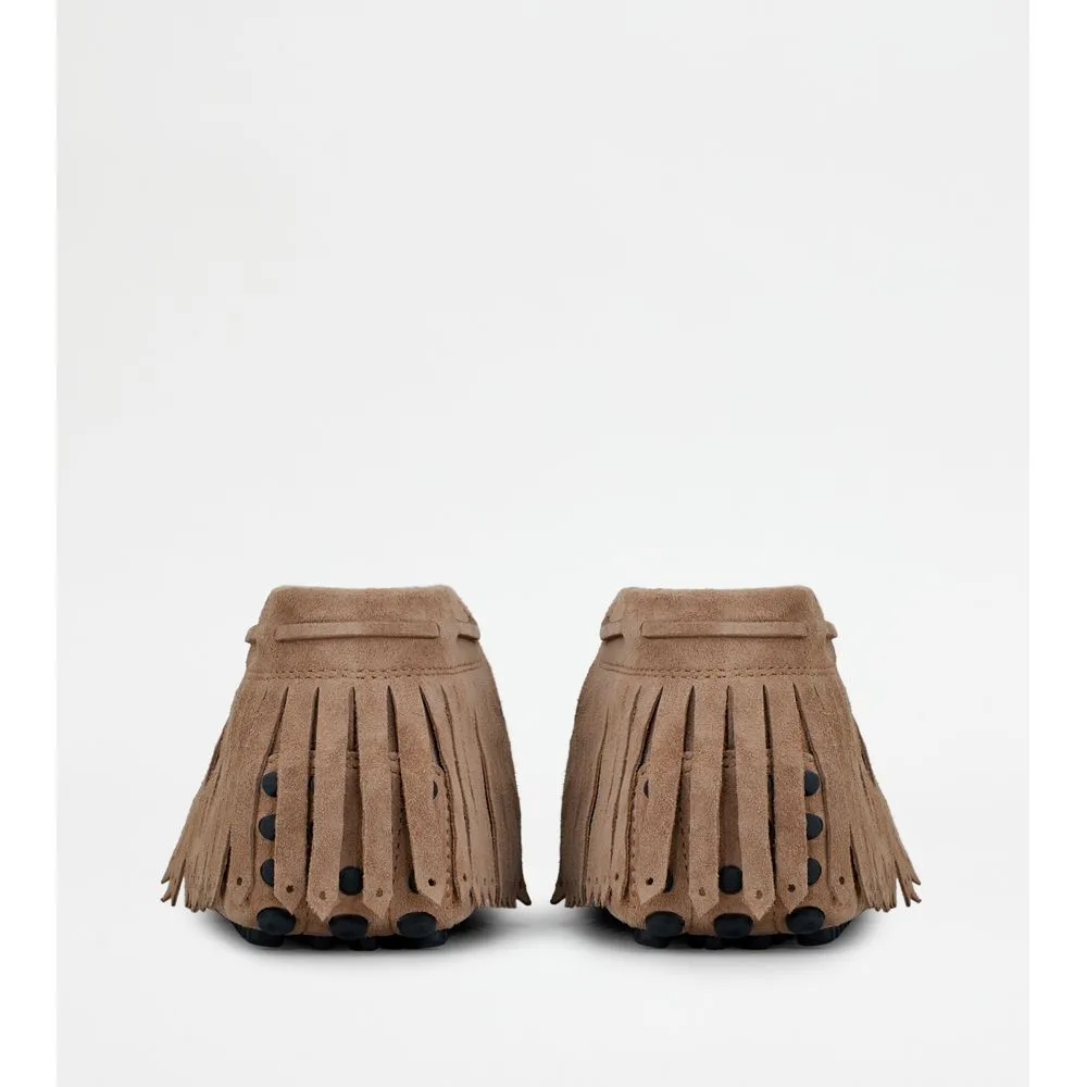 Gommino Desert Boots in Suede