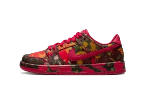 Nike SB Dunk Low The Wizard of Oz Poppy Field